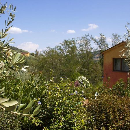 Il Granatino Appartamento Nievole Esterno foto