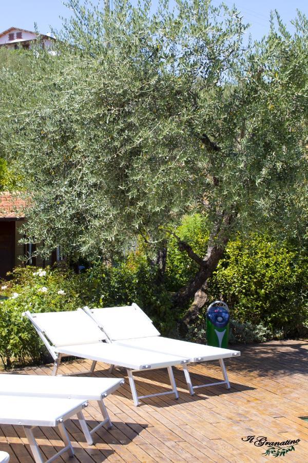 Il Granatino Appartamento Nievole Esterno foto